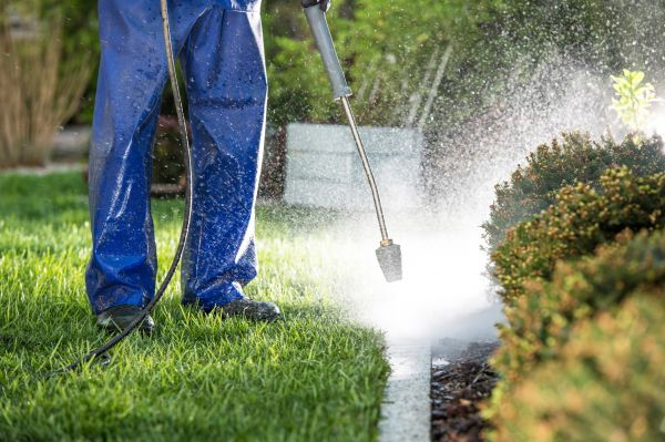 Curb Cleaning in Napa
