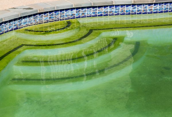 Pool Deck Algae Removal in Napa