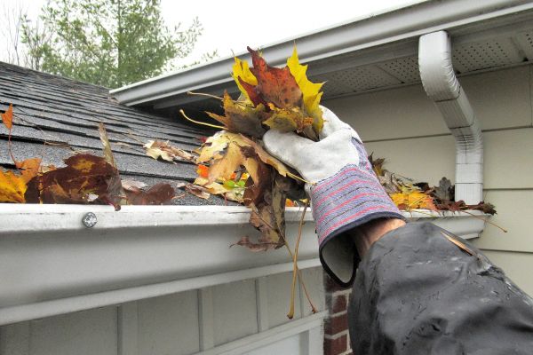 Eaves Cleaning in Napa