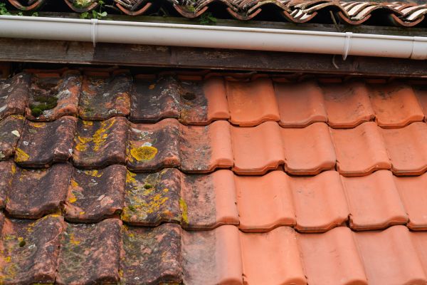 Industrial Roof Cleaning in Napa