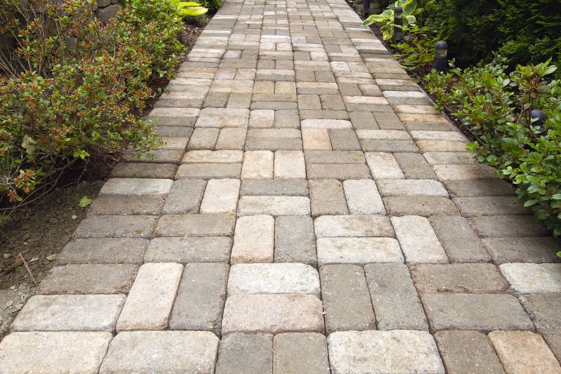 Paver Walkway Cleaning